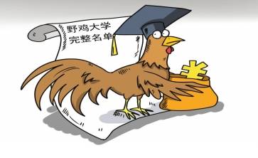 野鸡大学