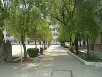 学校风光