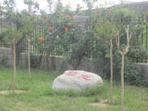 学校风光