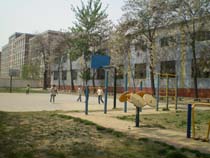 学校风光