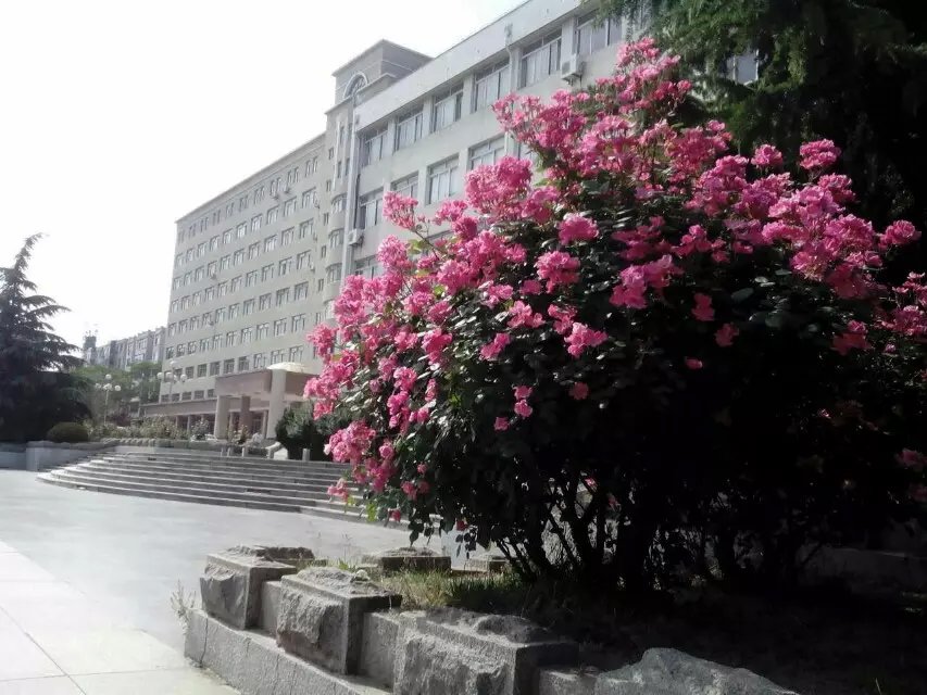 风景