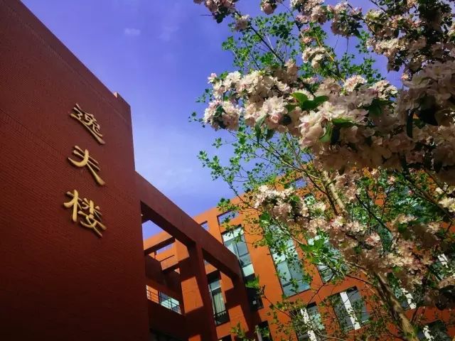 法大欢迎你