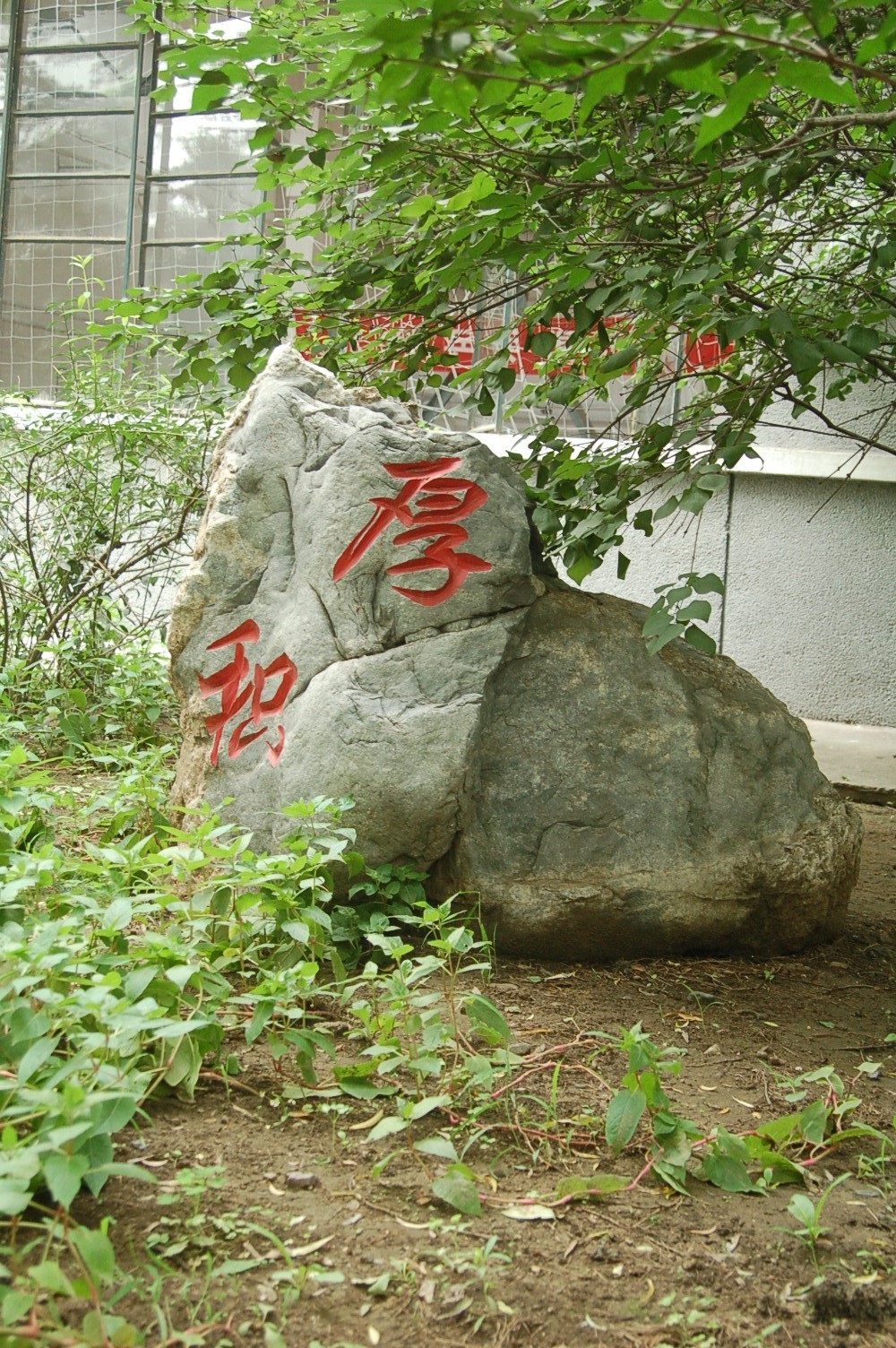 校园风光