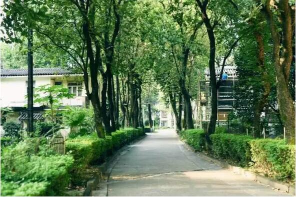 广外学生活动