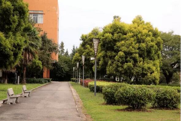 广外学生活动
