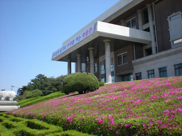 圆光大学