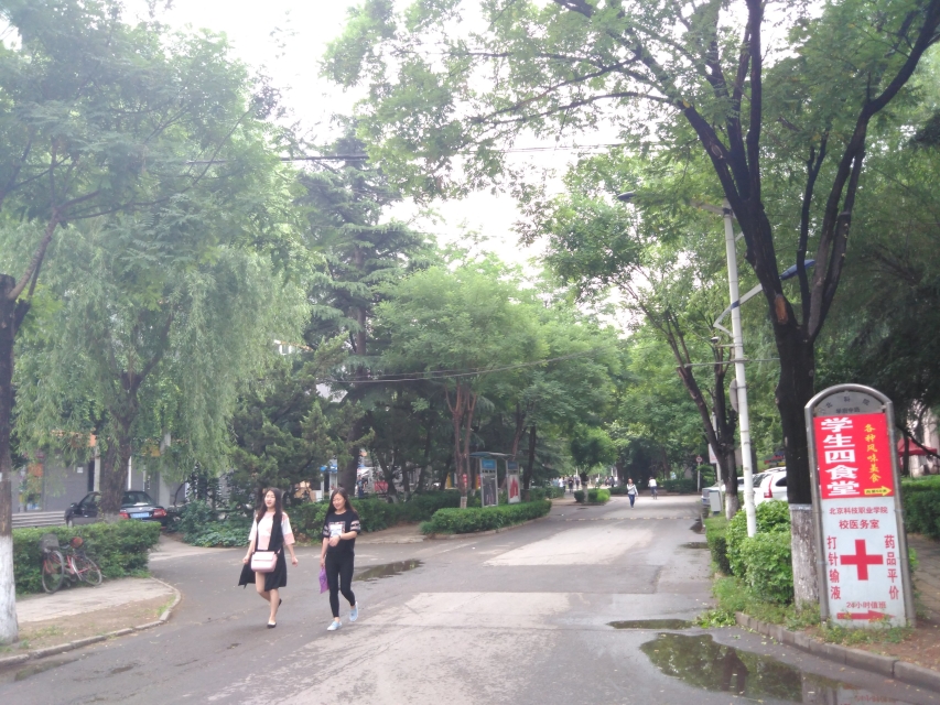 学校环境