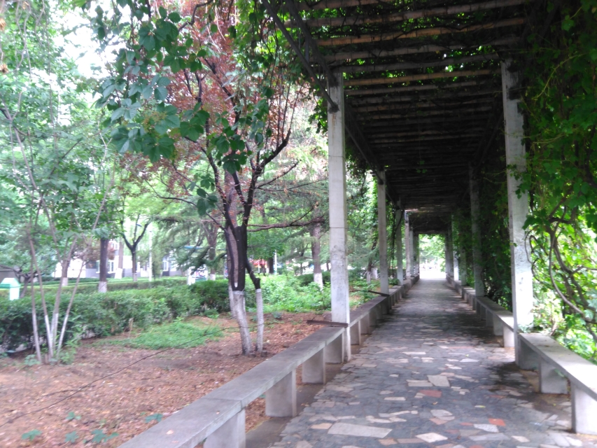学校环境