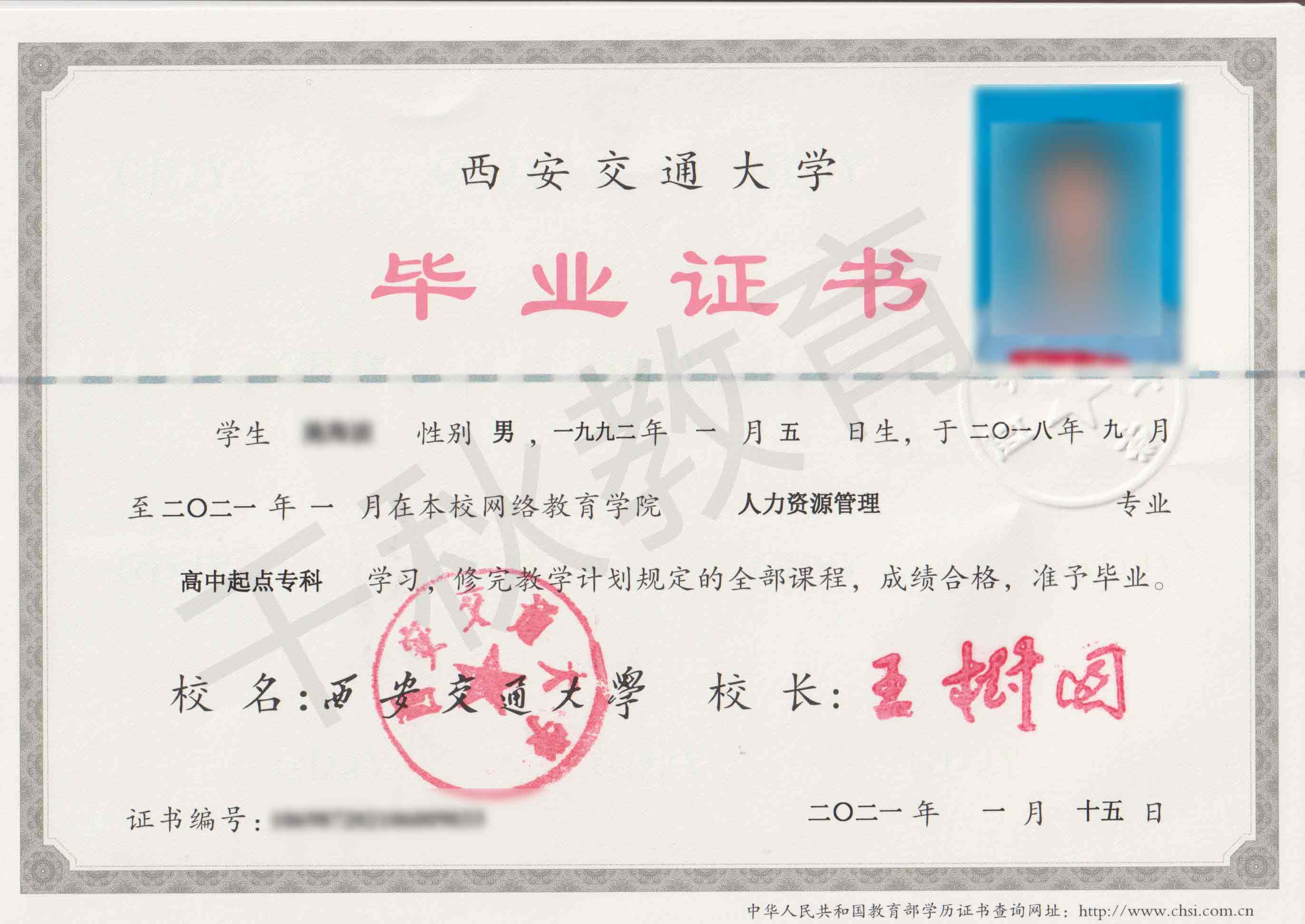 学历毕业证书样本
