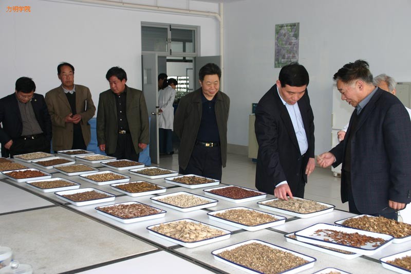 山东力明学院