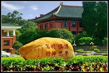 风景