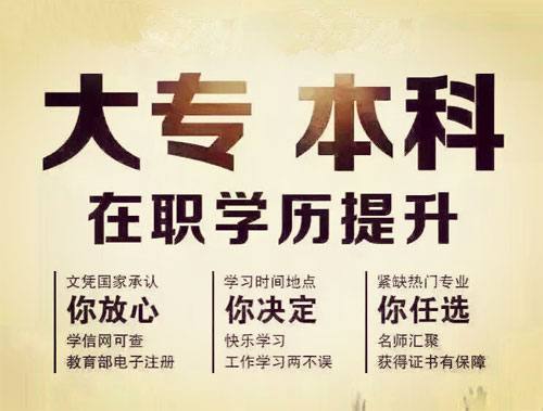 成人高校专业