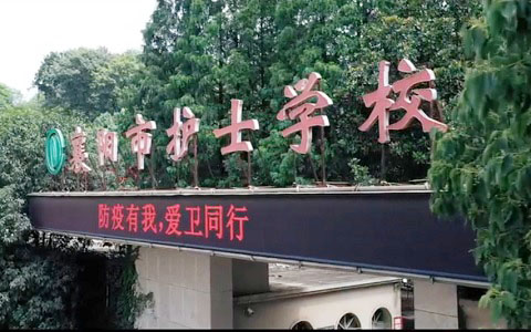 无标题.jpg