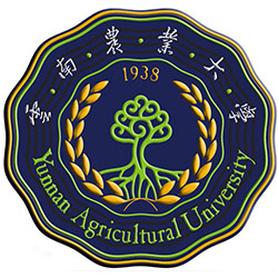 云南农业大学排名2021年最新全国排名第182