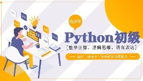 上海梦树Python青少年编程初级速成班