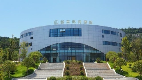 重庆毅莱电竞学院