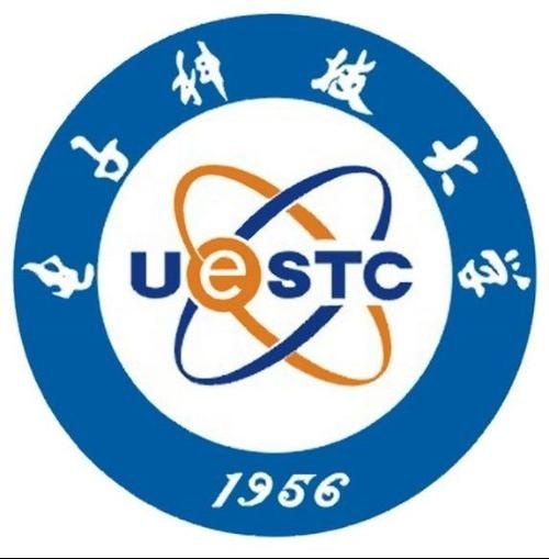 电子科技大学国际本科